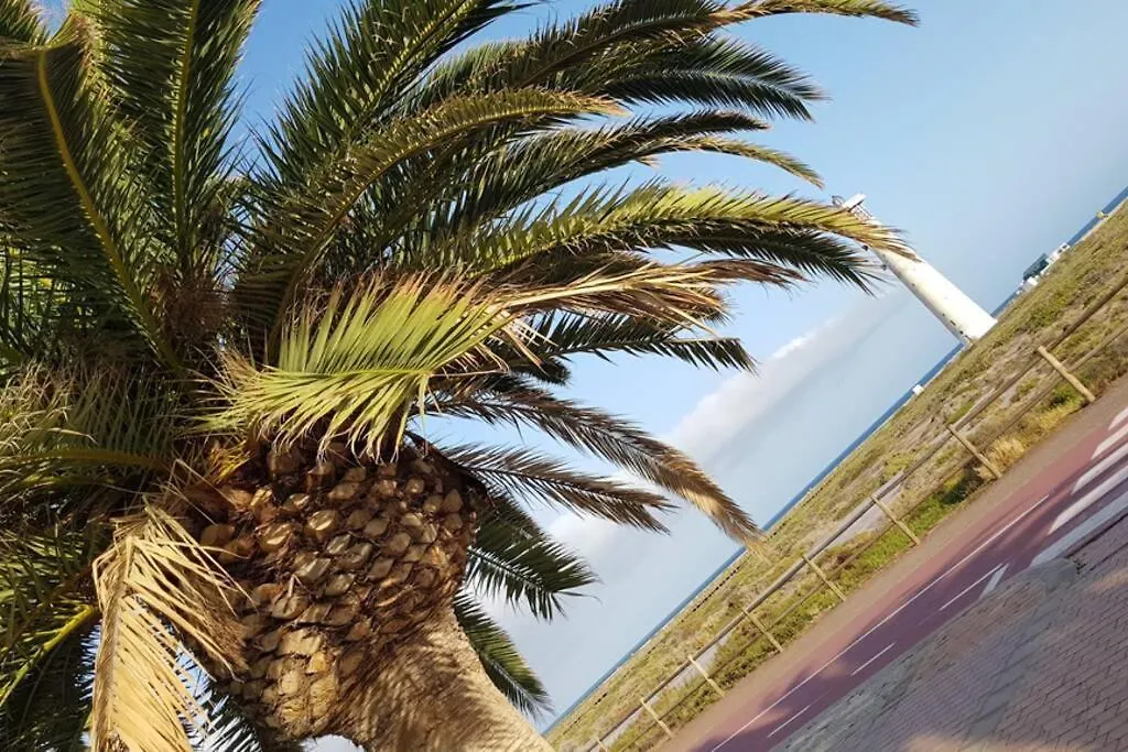 Front Beach Jandia Apartment Morro Jable  Spain
